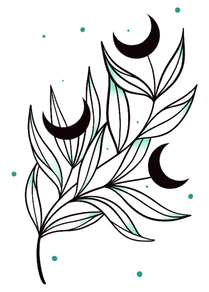 Projets 3